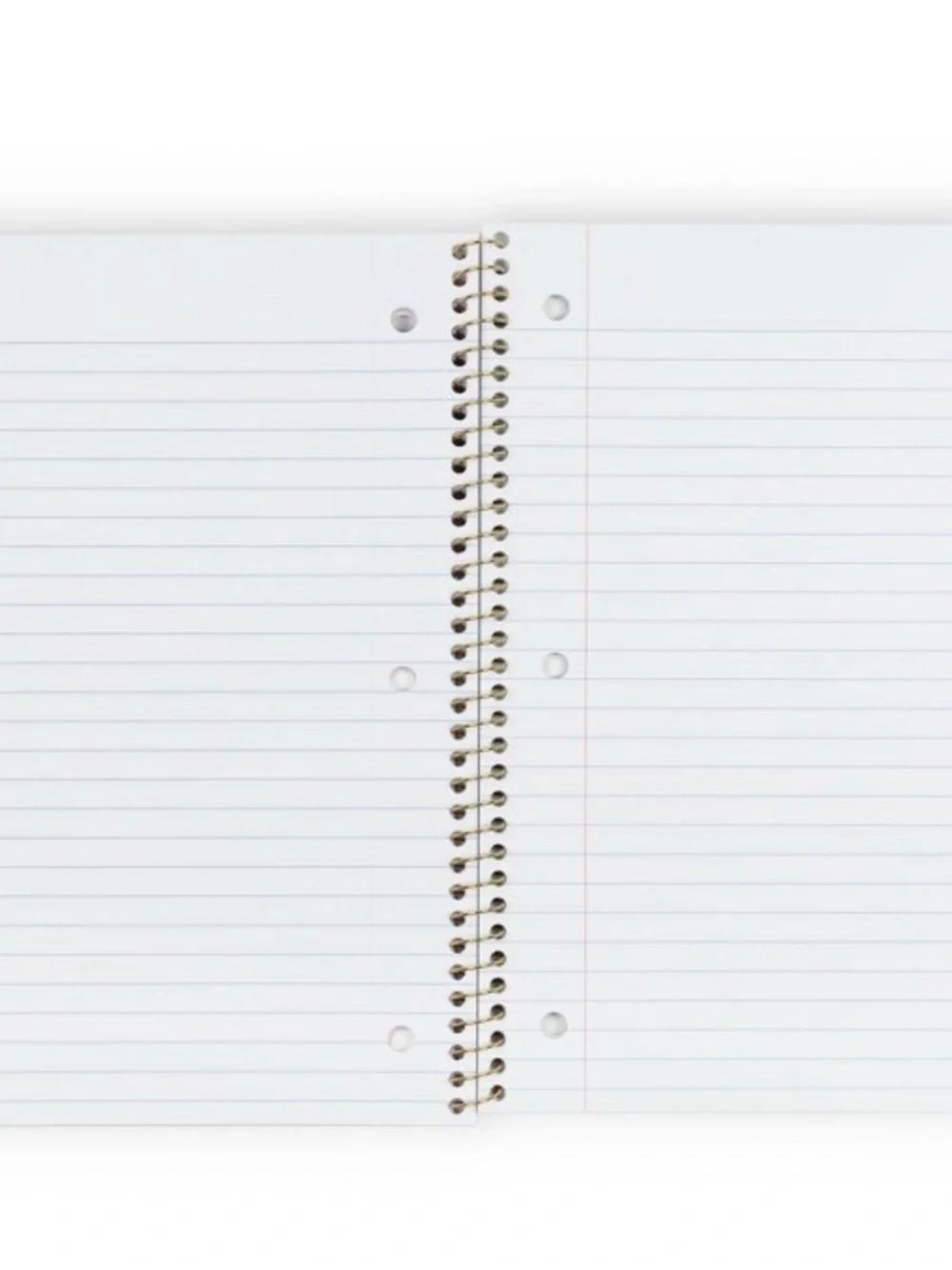 Love Shack Fancy 1 Subject Spiral Notebook coquette bows